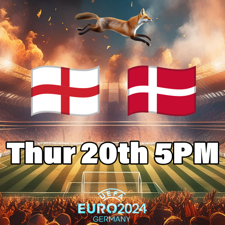 England Vs Denmark