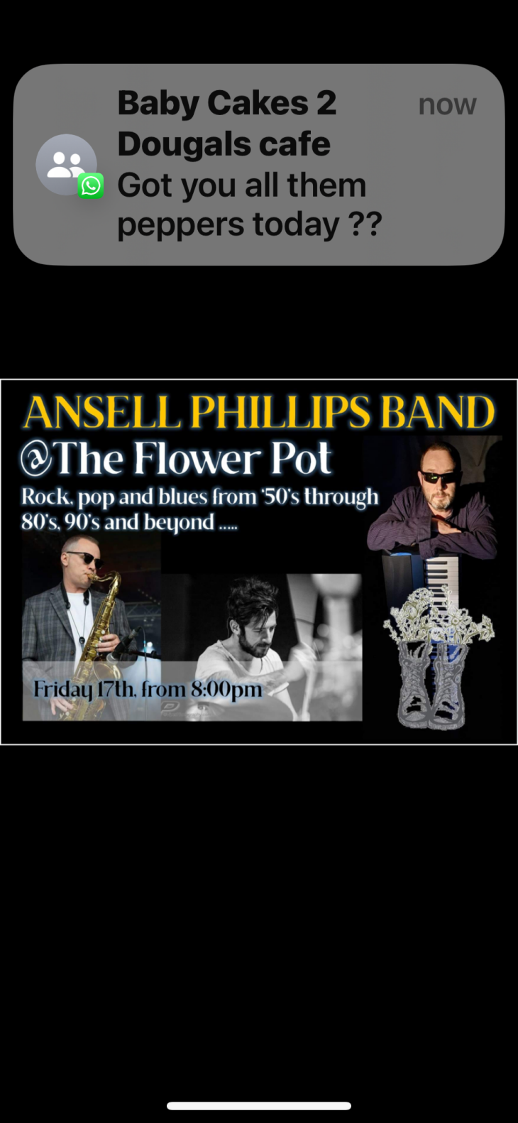 Ansell Phillips Band