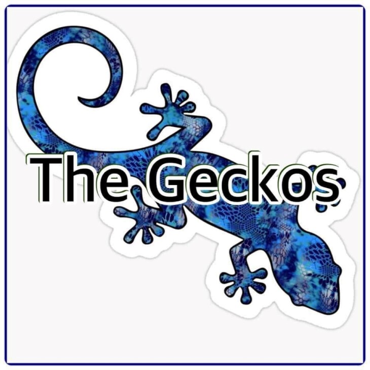 Music from the Geckos